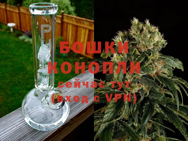 ALPHA PVP Нефтекумск