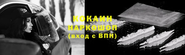 сатива Нея