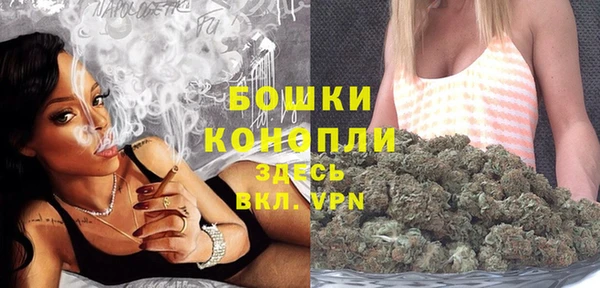 сатива Нея