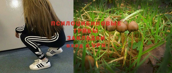ALPHA PVP Нефтекумск