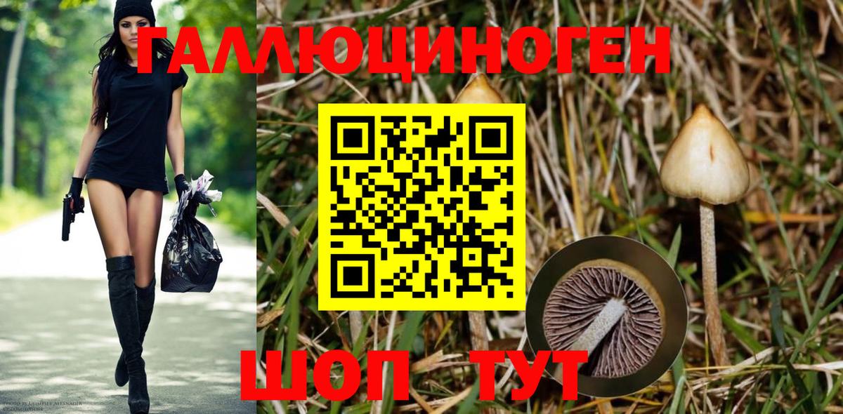 Псилоцибиновые грибы MAGIC MUSHROOMS Барабинск