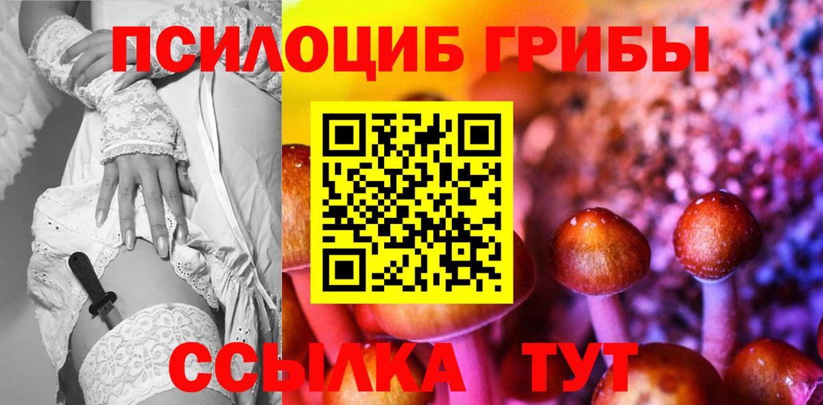 Галлюциногенные грибы Psilocybine cubensis  Вход с VPN  Барабинск 